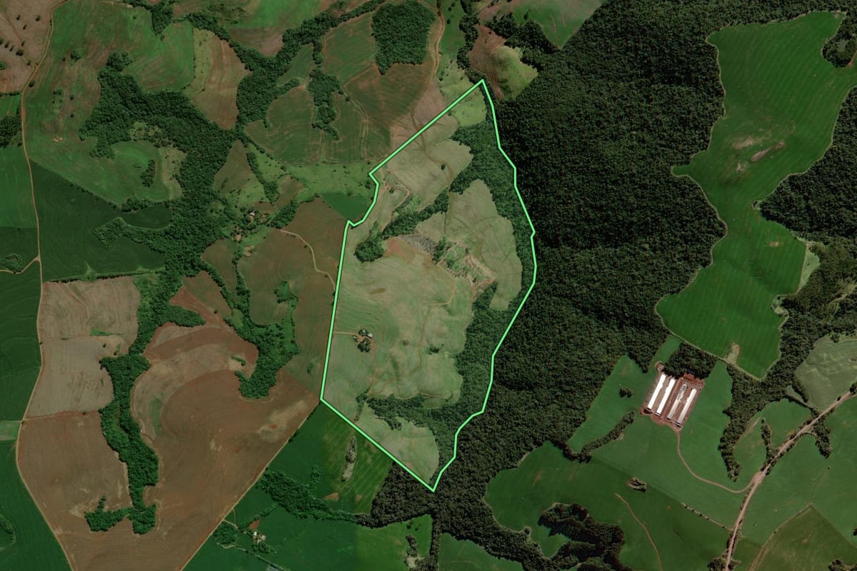Imagem de satélite do imóvel rural em Roncador (PR), com o contorno declarado no CAR desenhado por cima.