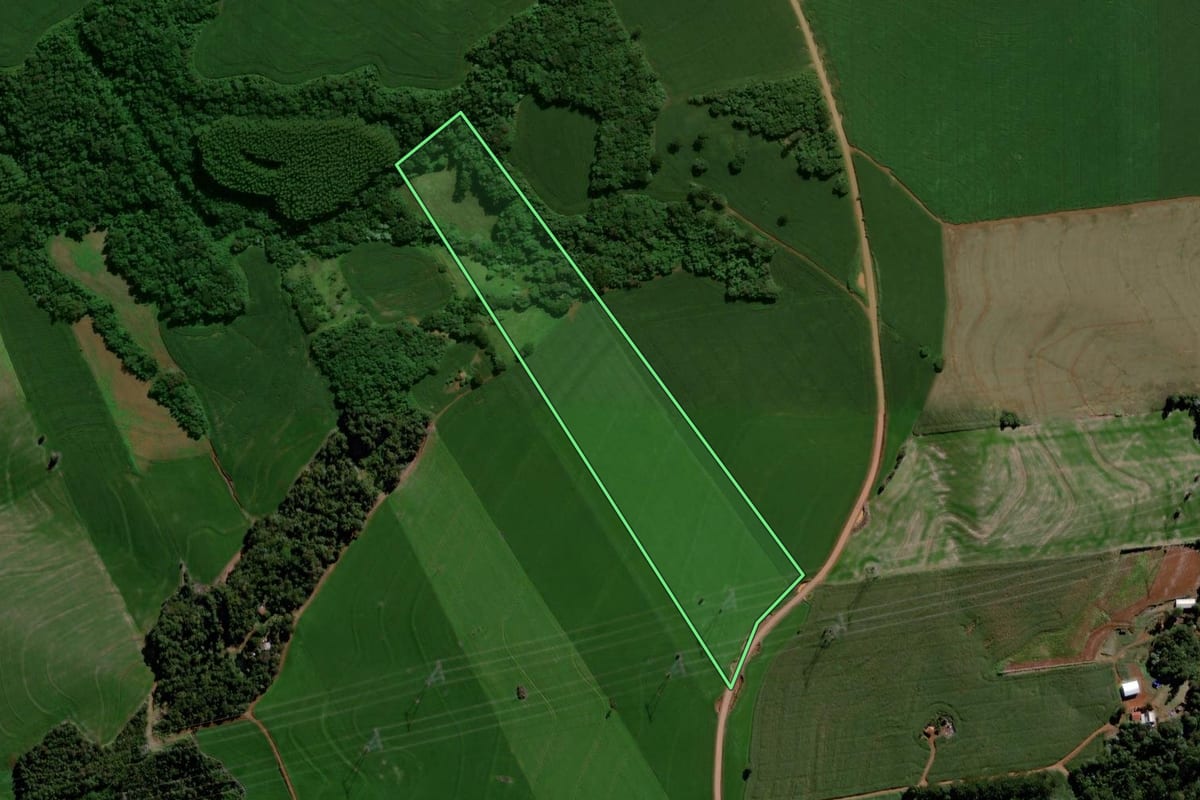 Imagem de satélite do imóvel rural em Roncador (PR), com o contorno declarado no CAR desenhado por cima.