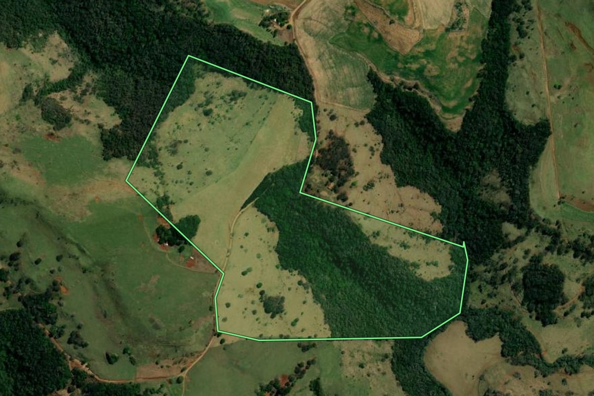 Imagem de satélite do imóvel rural em Roncador (PR), com o contorno declarado no CAR desenhado por cima.