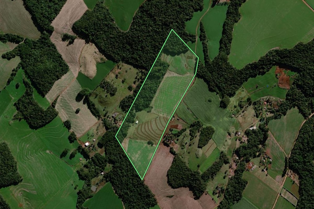 Imagem de satélite do imóvel rural em Roncador (PR), com o contorno declarado no CAR desenhado por cima.