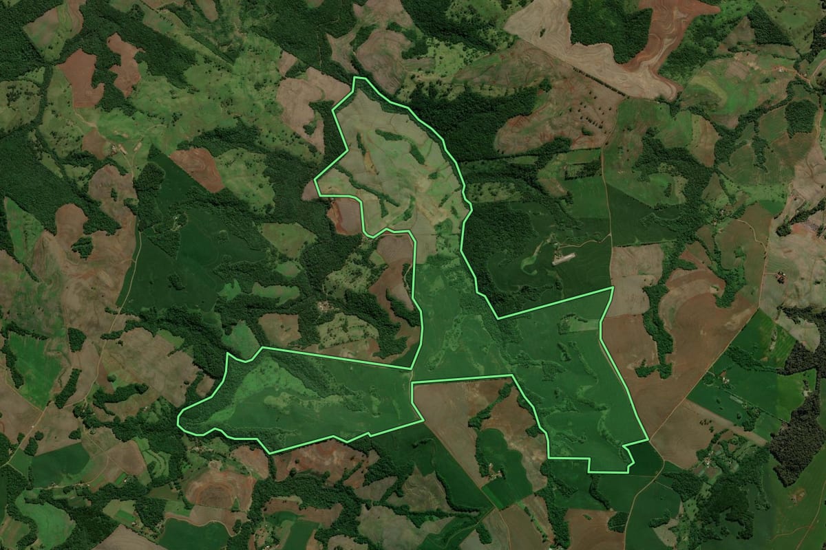 Imagem de satélite do imóvel rural em Roncador (PR), com o contorno declarado no CAR desenhado por cima.