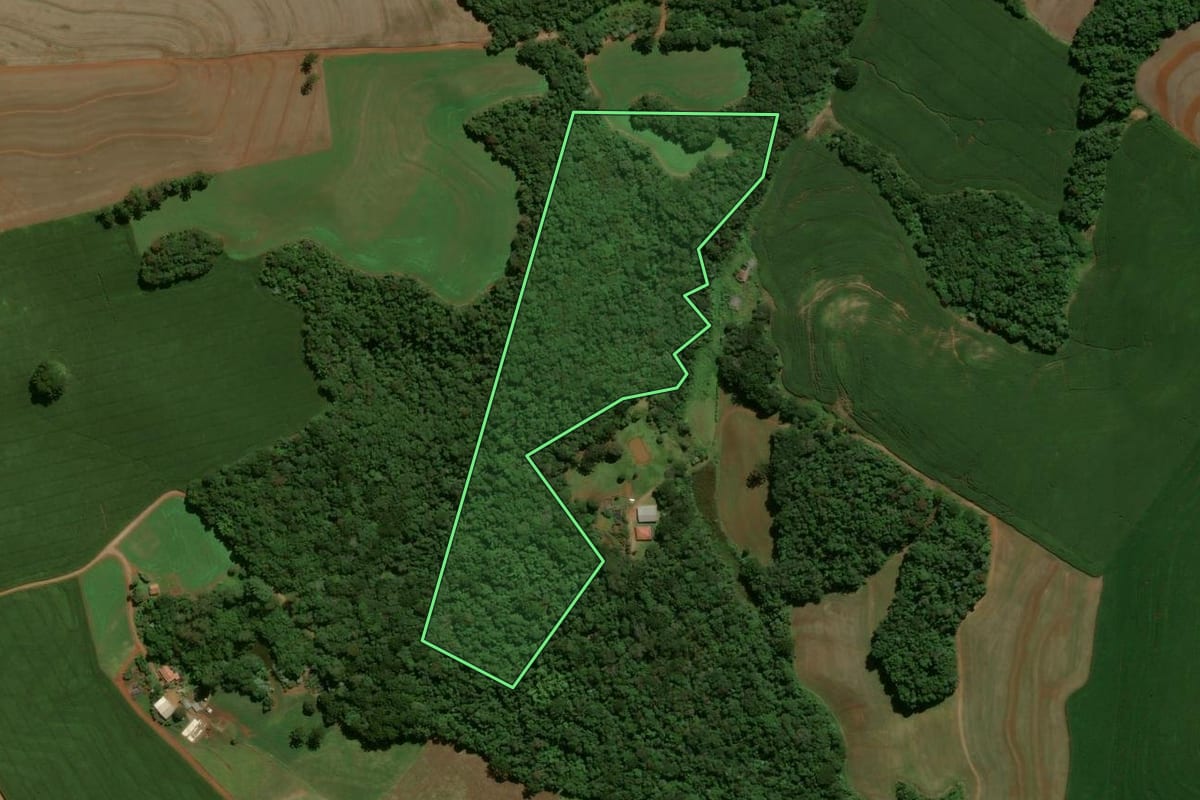 Imagem de satélite do imóvel rural em Roncador (PR), com o contorno declarado no CAR desenhado por cima.