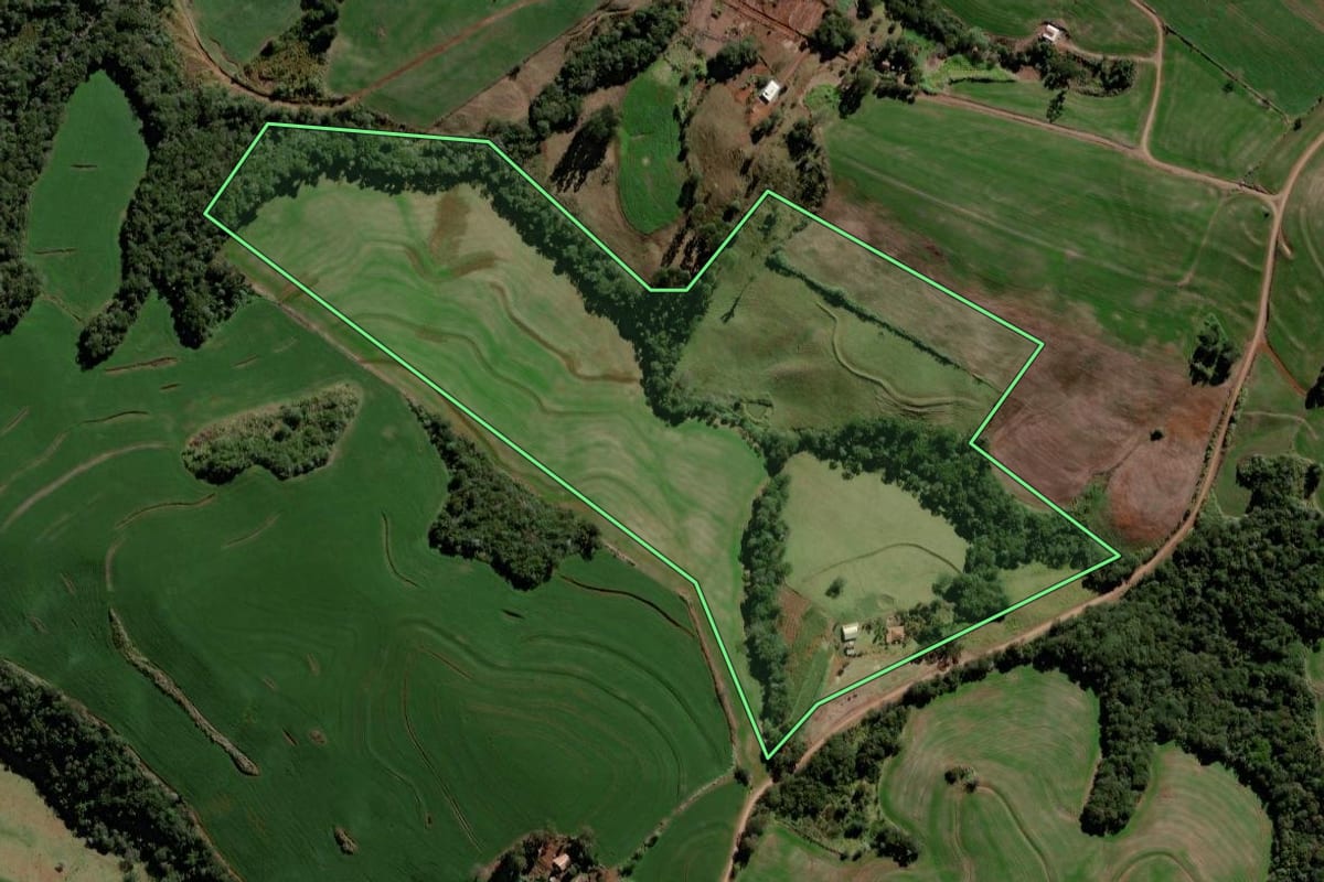 Imagem de satélite do imóvel rural em Roncador (PR), com o contorno declarado no CAR desenhado por cima.