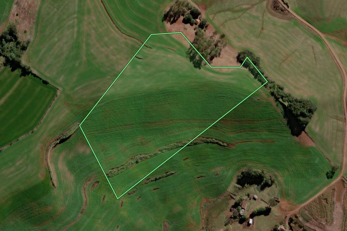 Imagem de satélite do imóvel rural em Roncador (PR), com o contorno declarado no CAR desenhado por cima.
