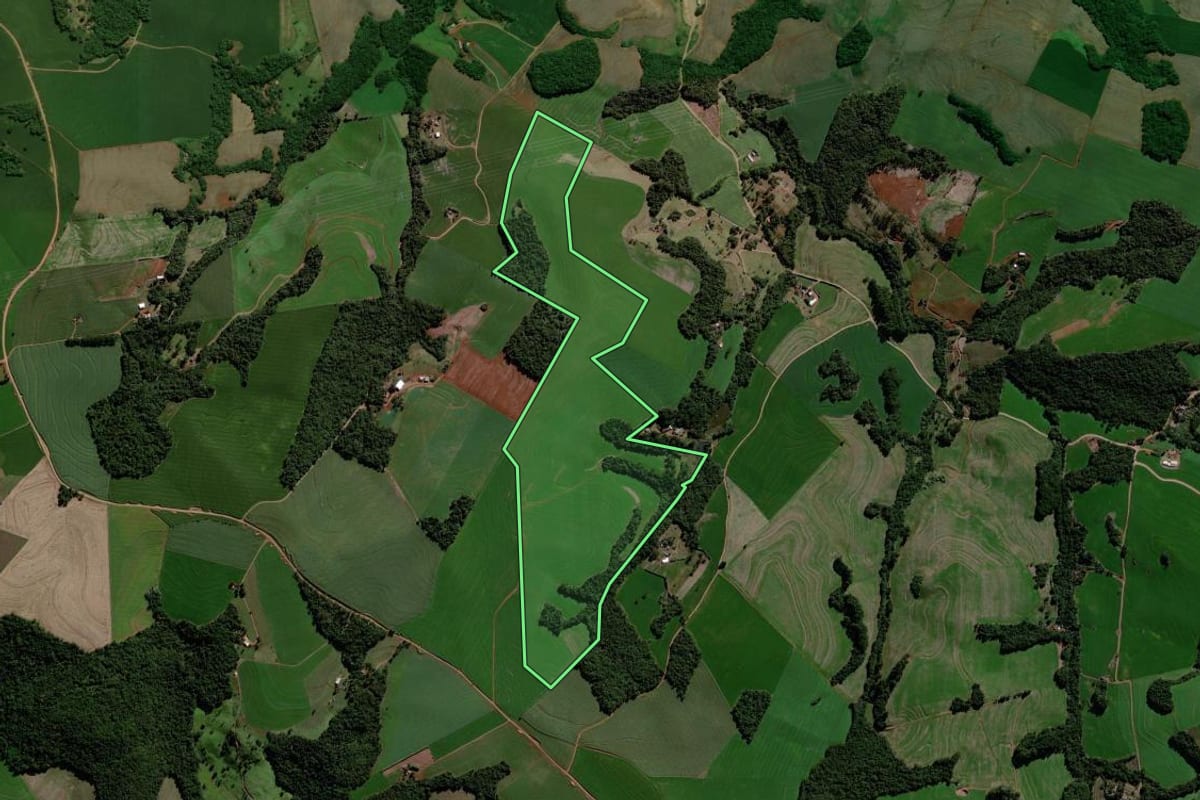 Imagem de satélite do imóvel rural em Roncador (PR), com o contorno declarado no CAR desenhado por cima.
