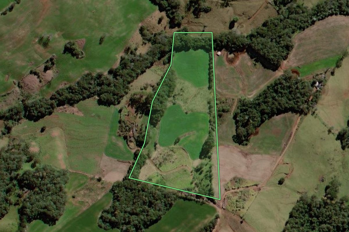 Imagem de satélite do imóvel rural em Roncador (PR), com o contorno declarado no CAR desenhado por cima.