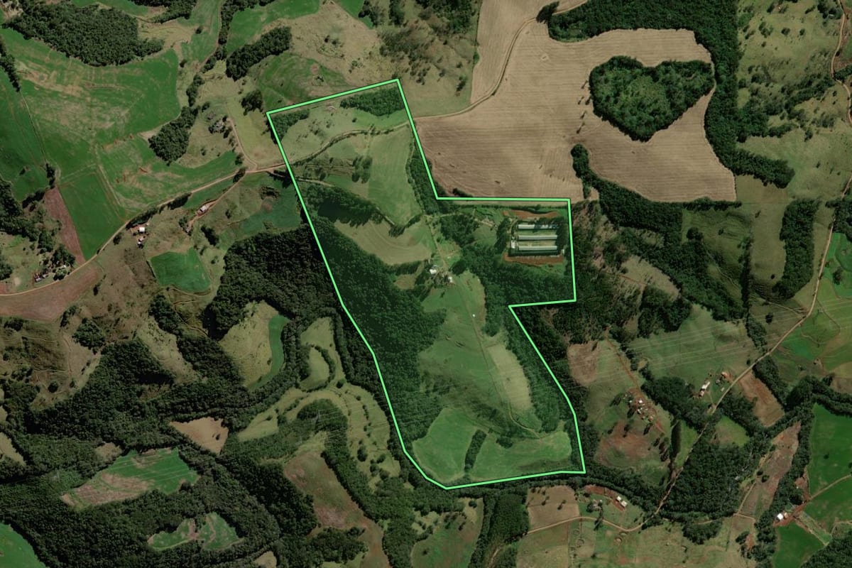 Imagem de satélite do imóvel rural em Roncador (PR), com o contorno declarado no CAR desenhado por cima.