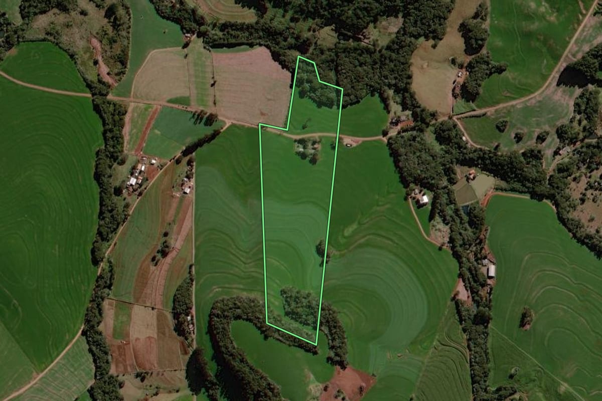 Imagem de satélite do imóvel rural em Roncador (PR), com o contorno declarado no CAR desenhado por cima.