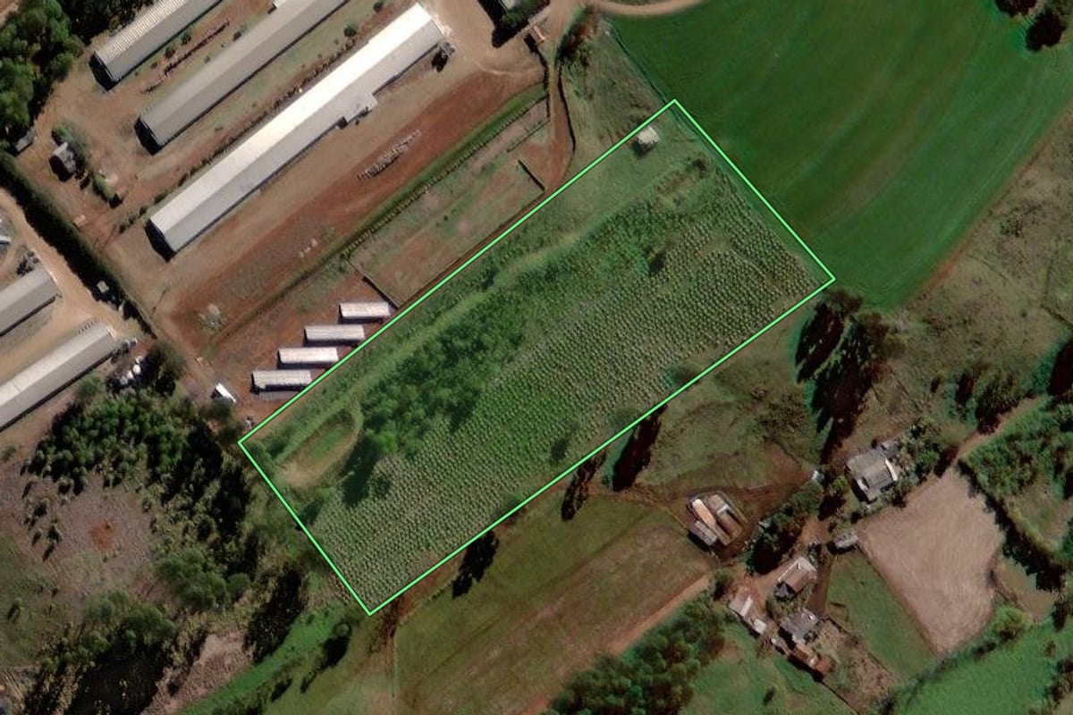 Imagem de satélite do imóvel rural em Roncador (PR), com o contorno declarado no CAR desenhado por cima.