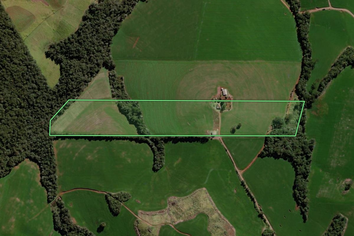 Imagem de satélite do imóvel rural em Roncador (PR), com o contorno declarado no CAR desenhado por cima.