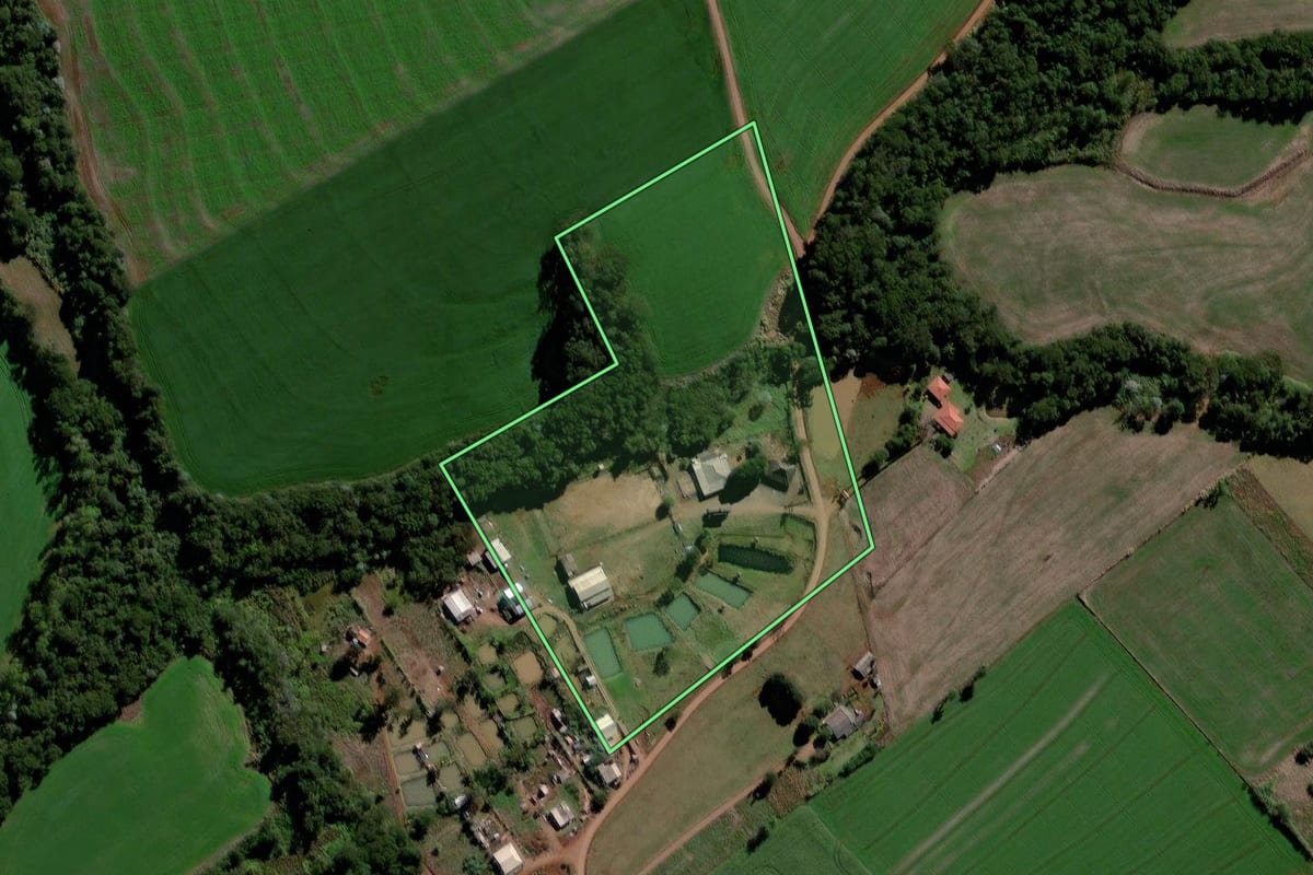 Imagem de satélite do imóvel rural em Roncador (PR), com o contorno declarado no CAR desenhado por cima.