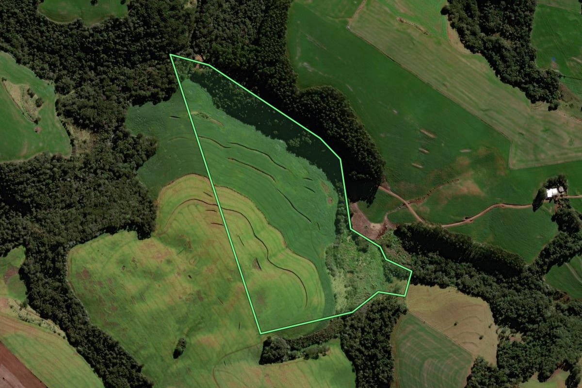 Imagem de satélite do imóvel rural em Roncador (PR), com o contorno declarado no CAR desenhado por cima.