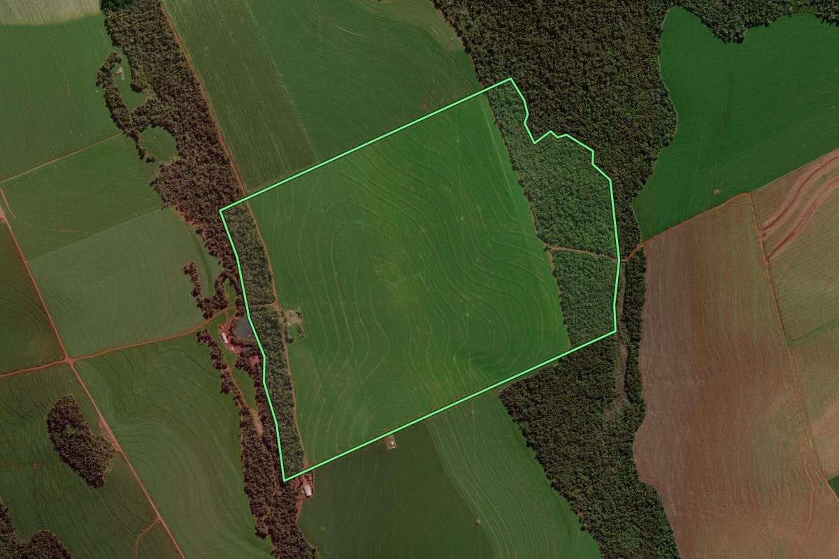 Imagem de satélite do imóvel rural em Roncador (PR), com o contorno declarado no CAR desenhado por cima.