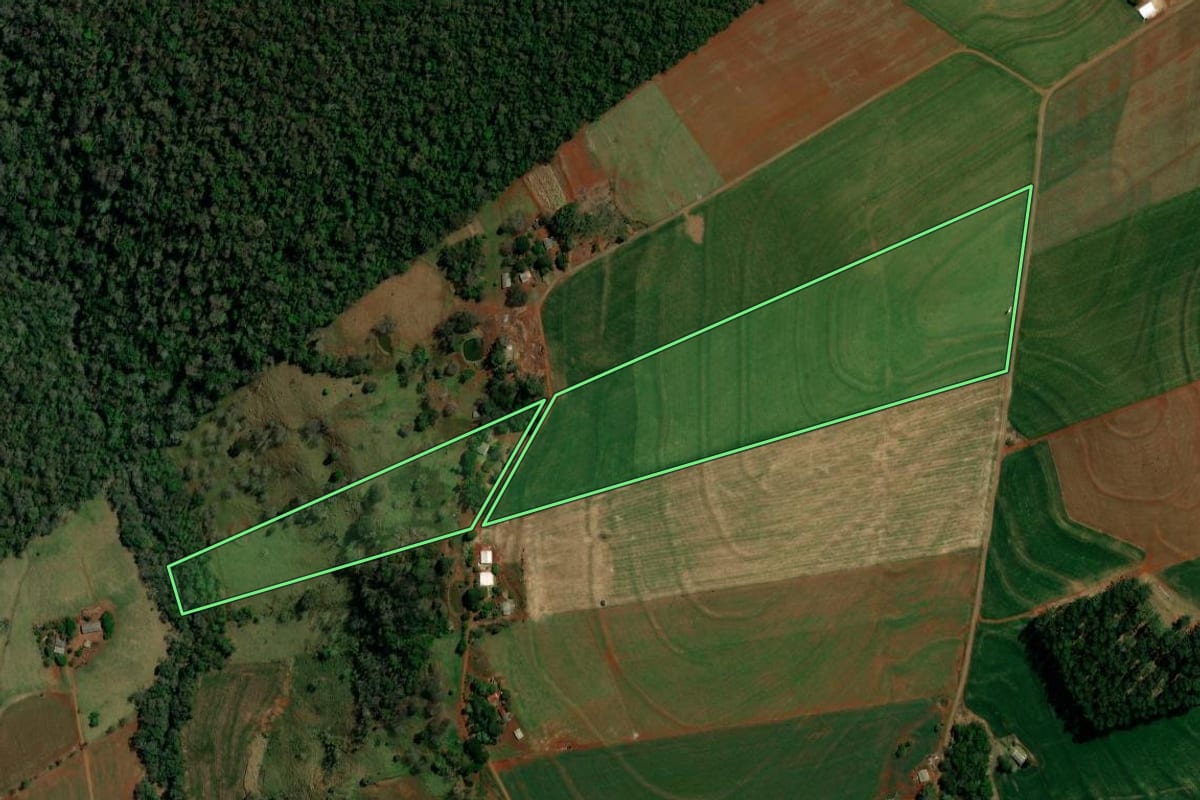 Imagem de satélite do imóvel rural em Roncador (PR), com o contorno declarado no CAR desenhado por cima.