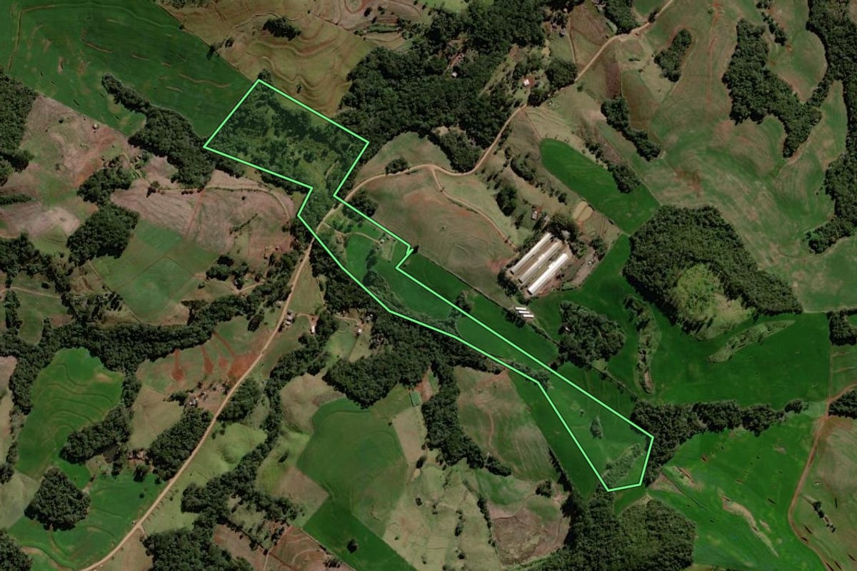 Imagem de satélite do imóvel rural em Roncador (PR), com o contorno declarado no CAR desenhado por cima.