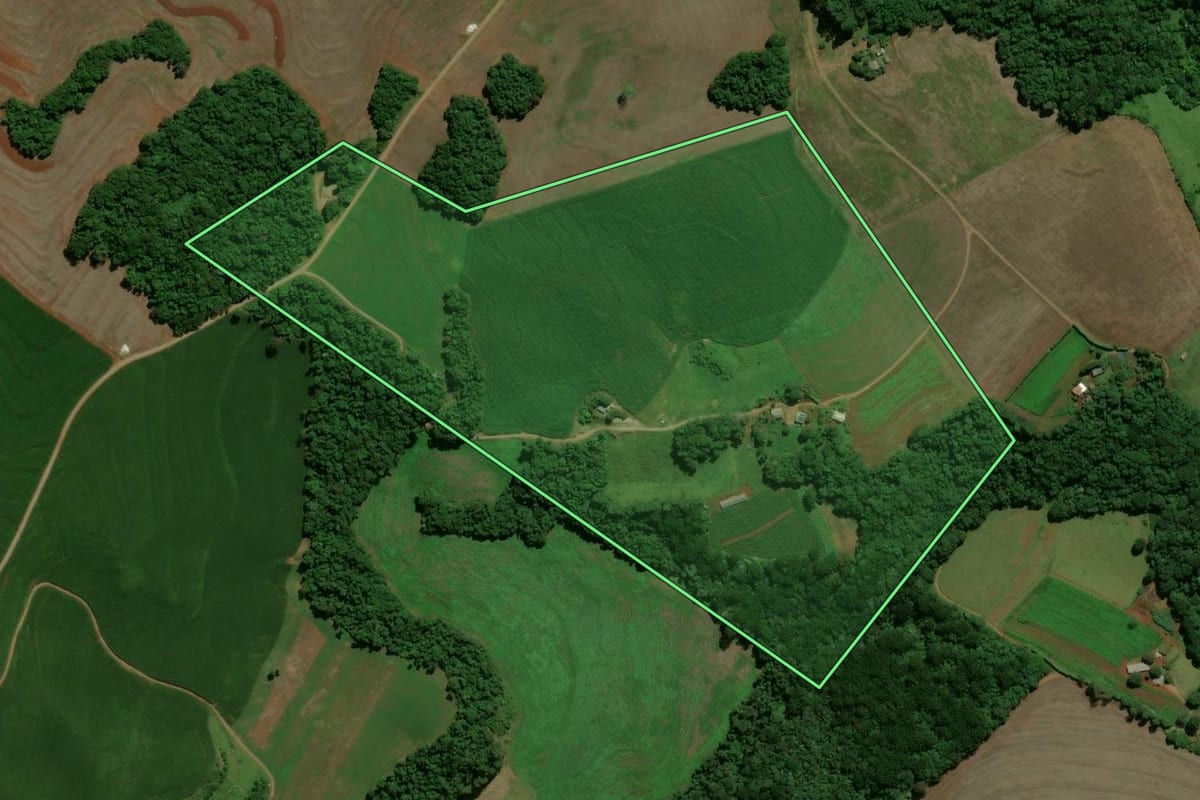 Imagem de satélite do imóvel rural em Roncador (PR), com o contorno declarado no CAR desenhado por cima.