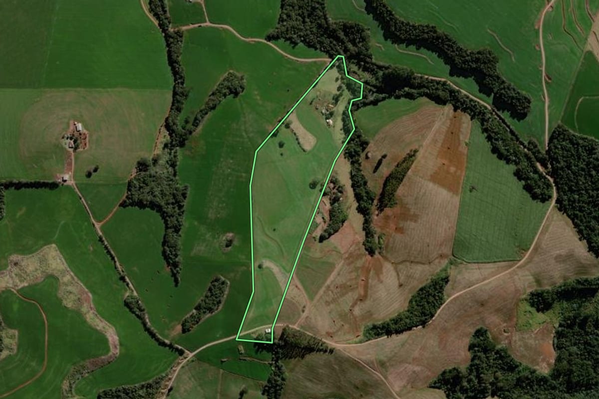 Imagem de satélite do imóvel rural em Roncador (PR), com o contorno declarado no CAR desenhado por cima.