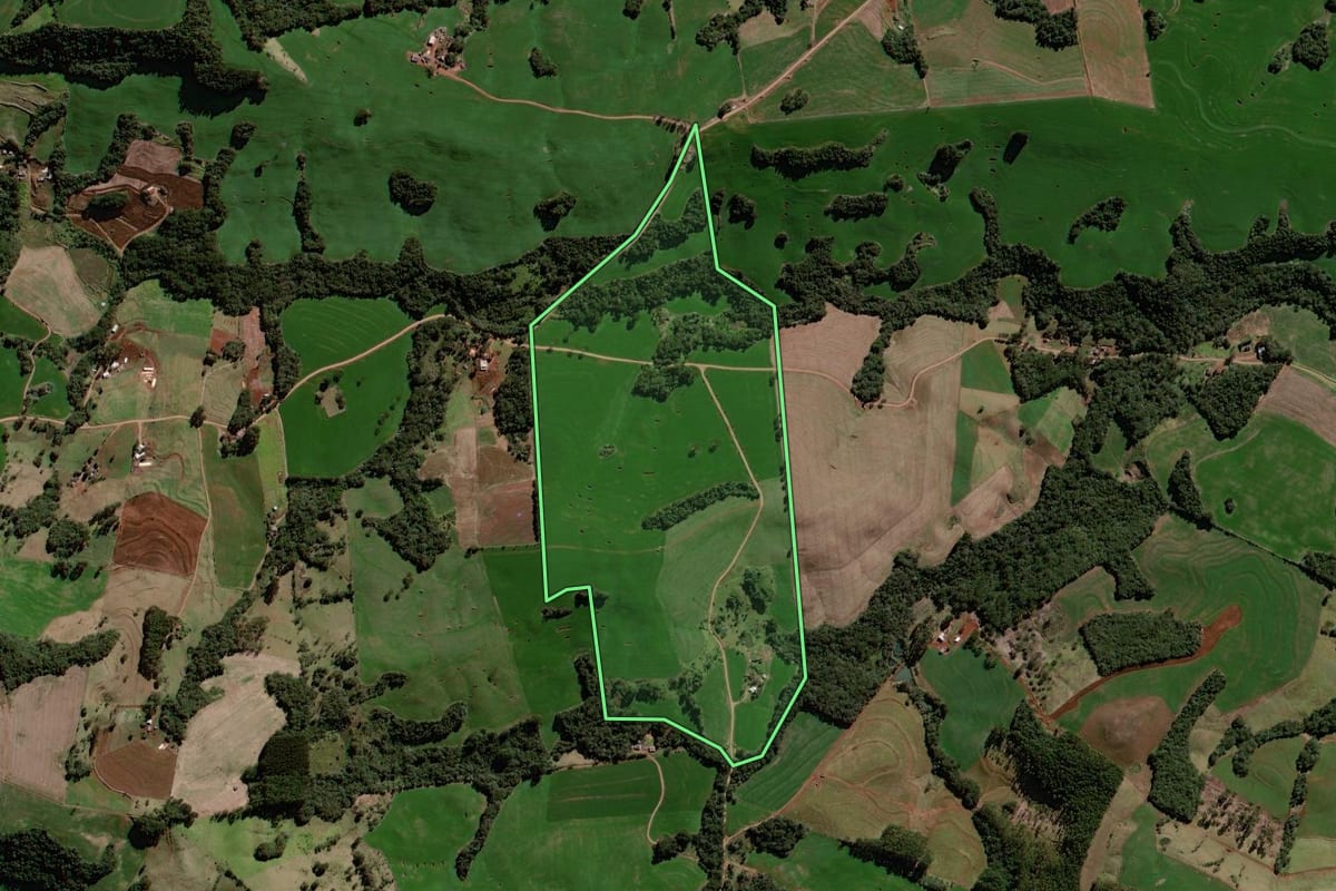 Imagem de satélite do imóvel rural em Roncador (PR), com o contorno declarado no CAR desenhado por cima.