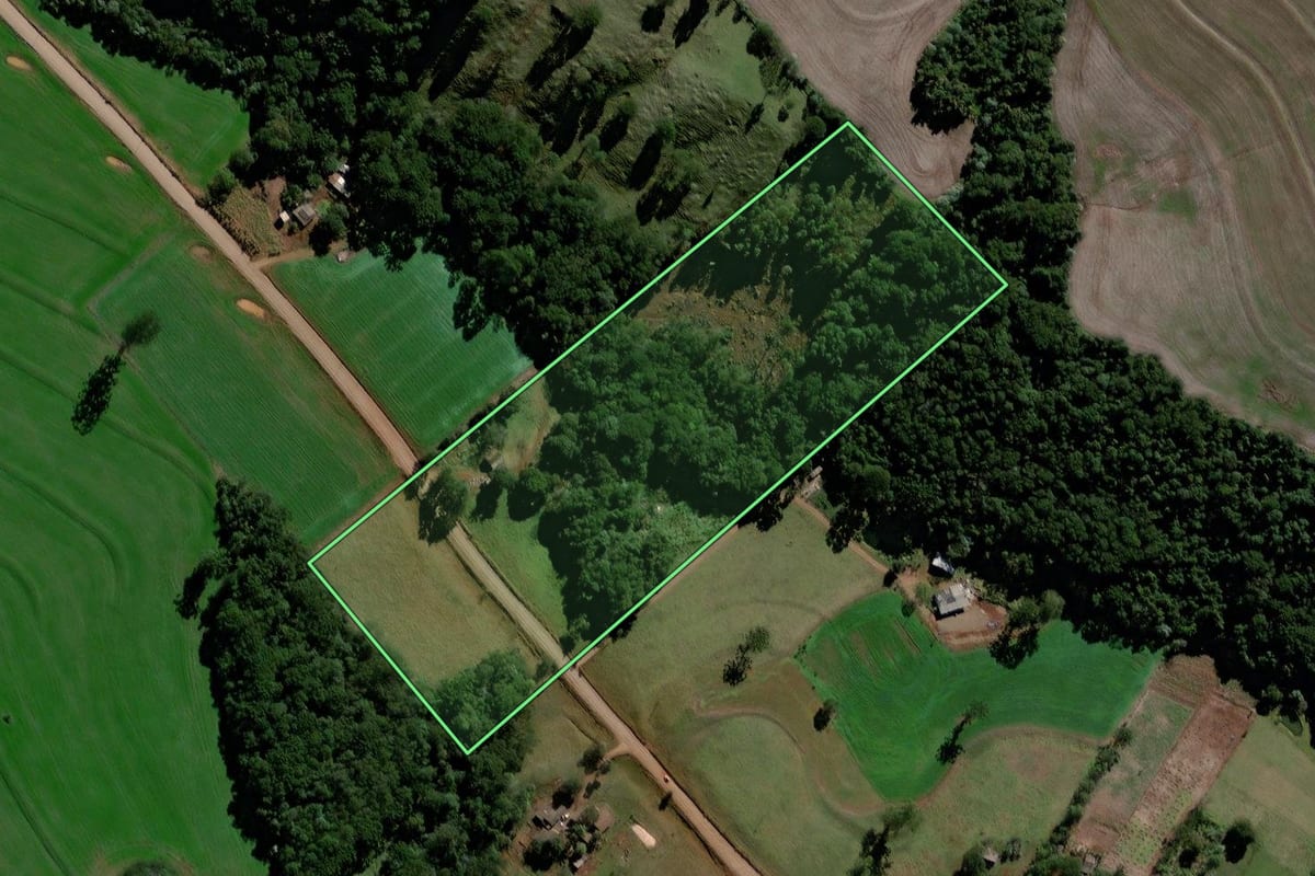 Imagem de satélite do imóvel rural em Roncador (PR), com o contorno declarado no CAR desenhado por cima.