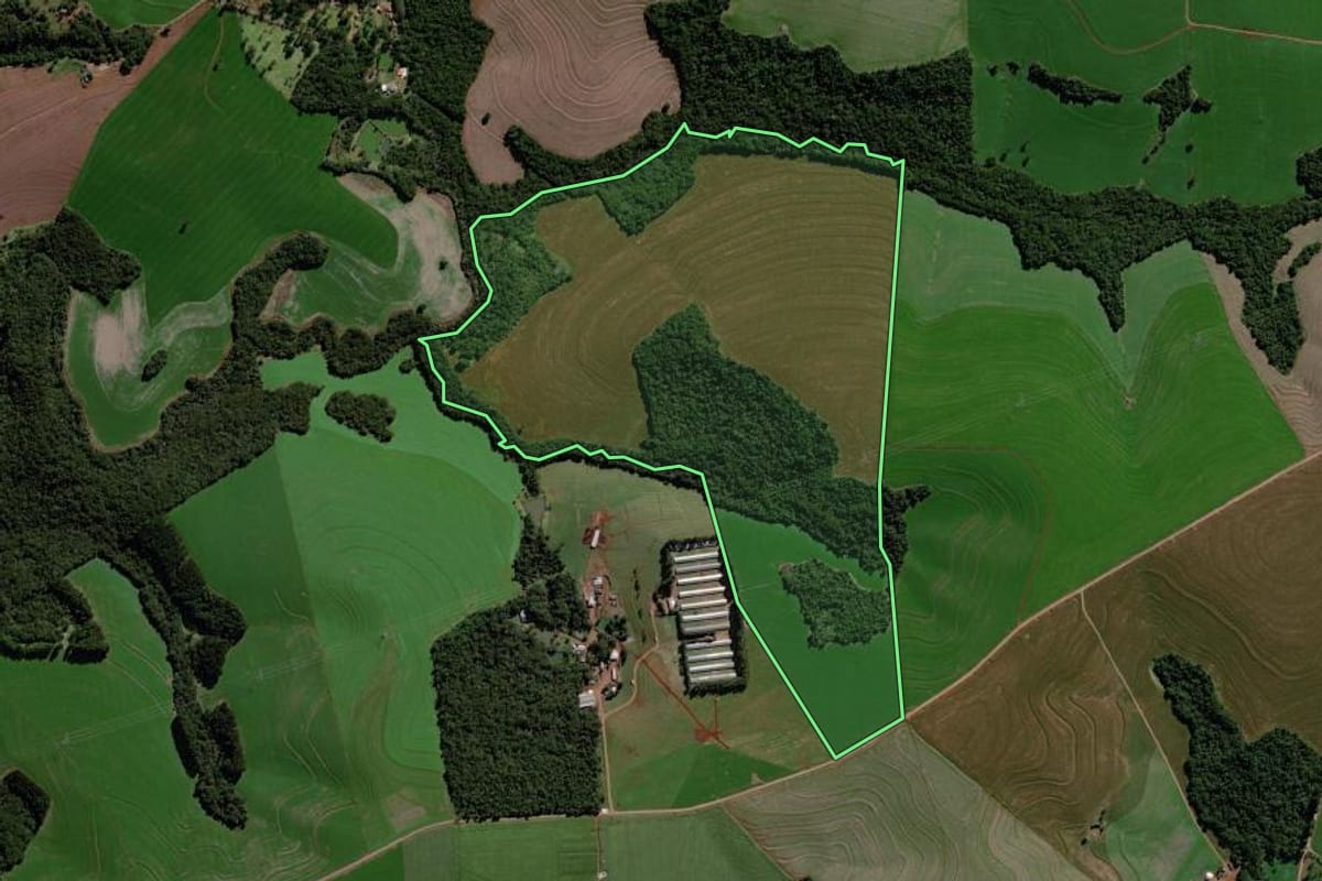 Imagem de satélite do imóvel rural em Roncador (PR), com o contorno declarado no CAR desenhado por cima.