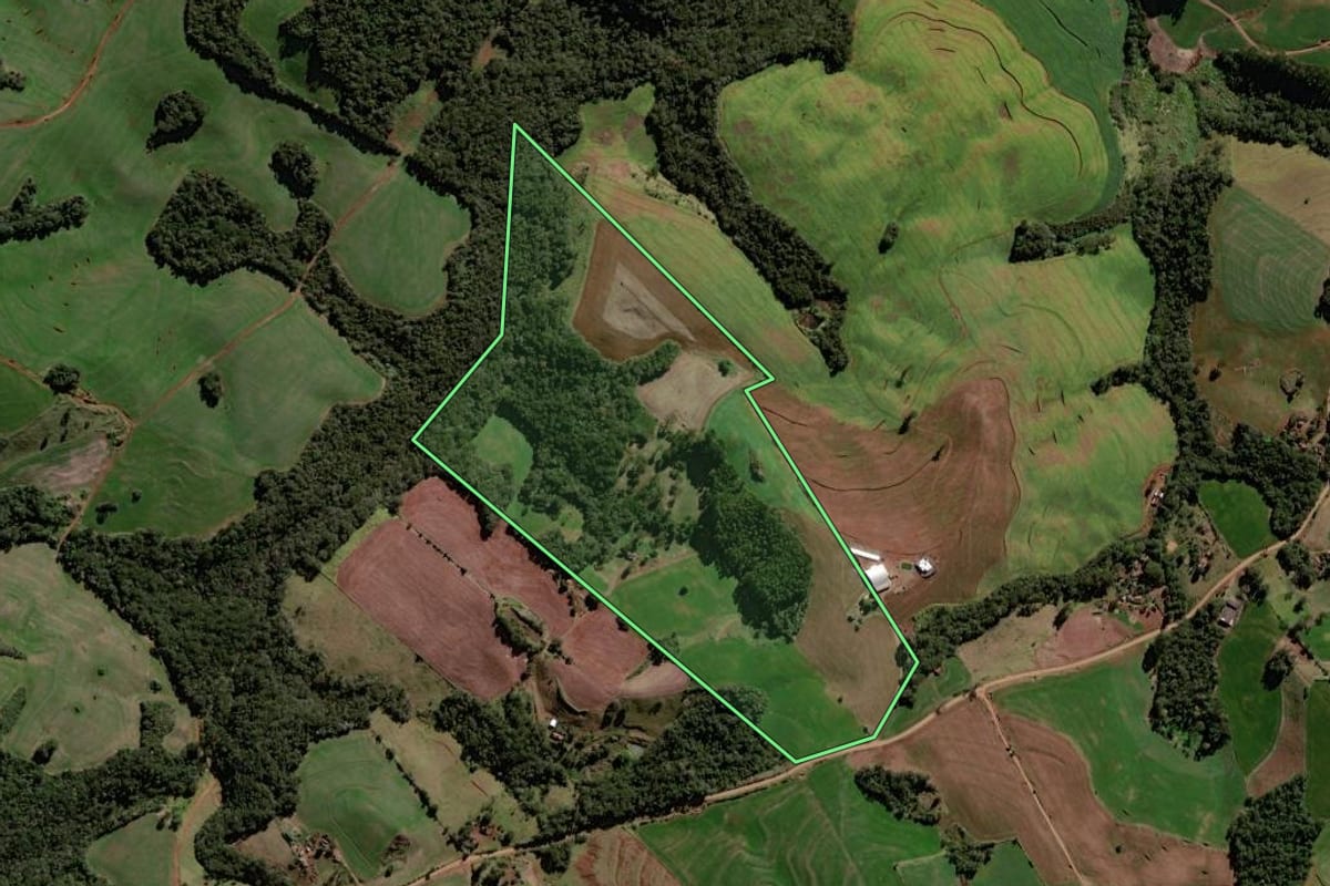 Imagem de satélite do imóvel rural em Roncador (PR), com o contorno declarado no CAR desenhado por cima.