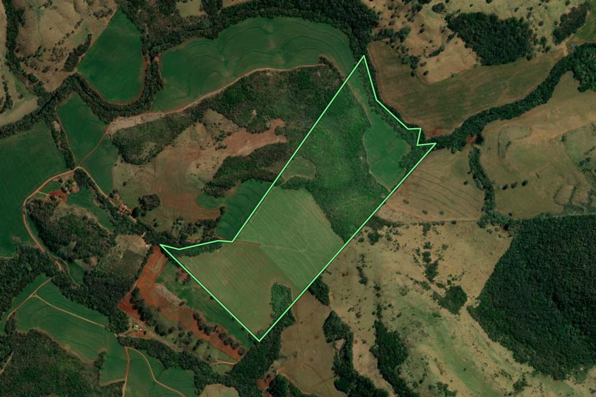 Imagem de satélite do imóvel rural em Roncador (PR), com o contorno declarado no CAR desenhado por cima.