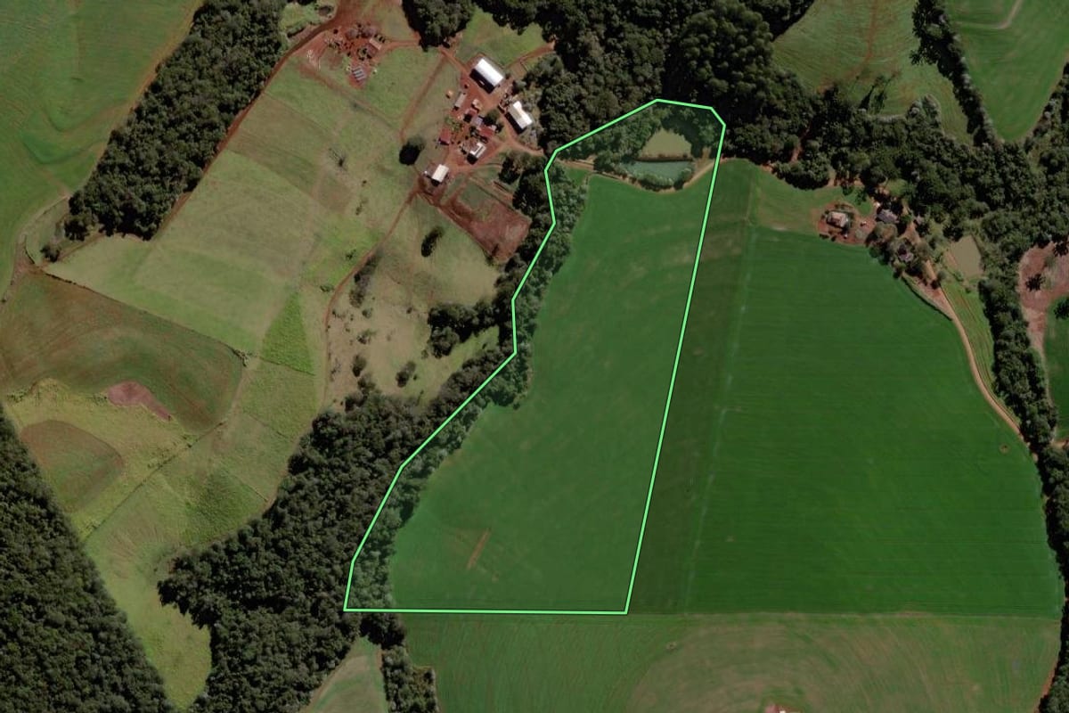 Imagem de satélite do imóvel rural em Roncador (PR), com o contorno declarado no CAR desenhado por cima.