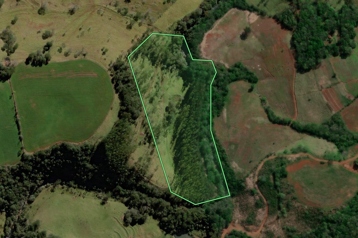 Imagem de satélite do imóvel rural em Roncador (PR), com o contorno declarado no CAR desenhado por cima.