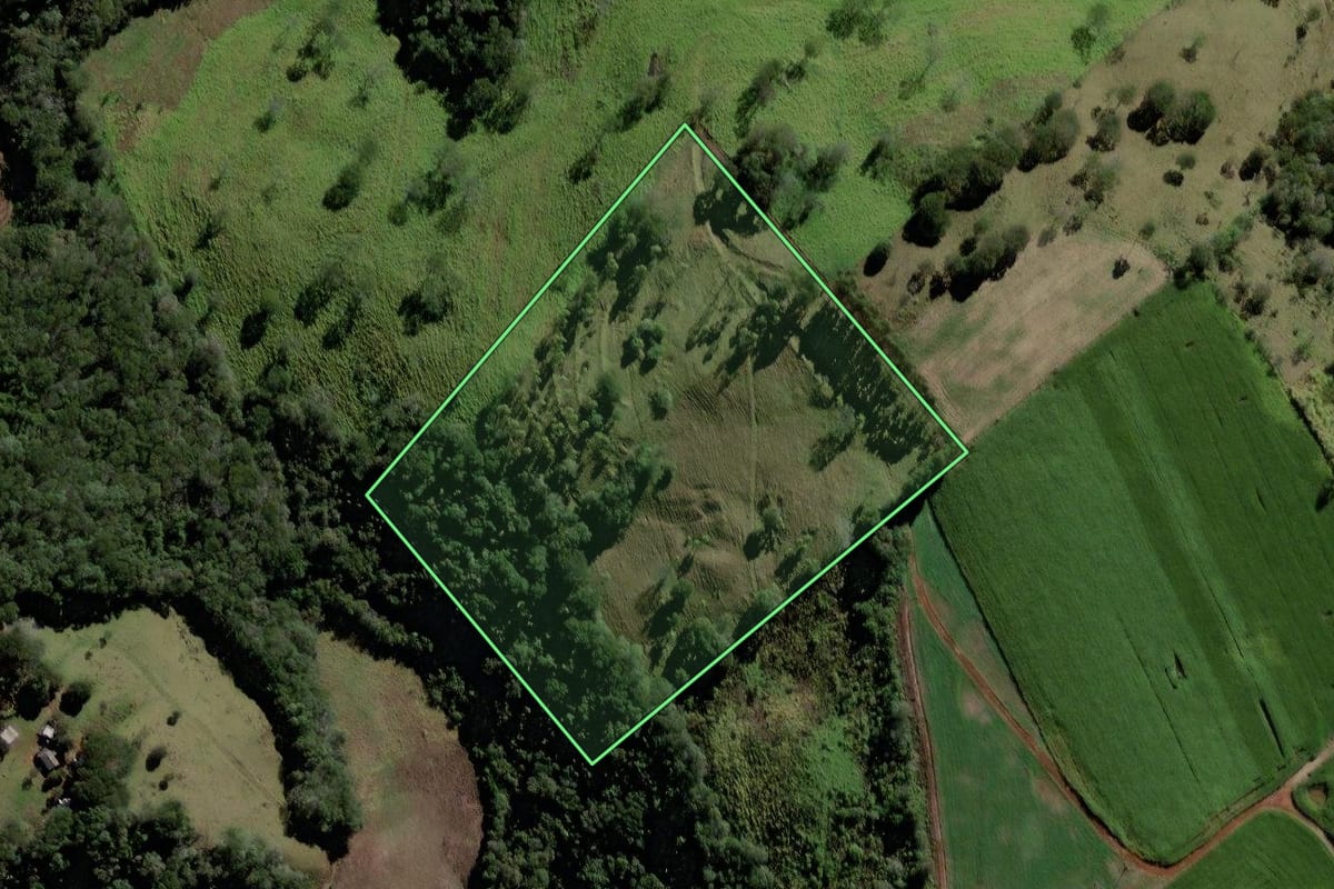 Imagem de satélite do imóvel rural em Roncador (PR), com o contorno declarado no CAR desenhado por cima.
