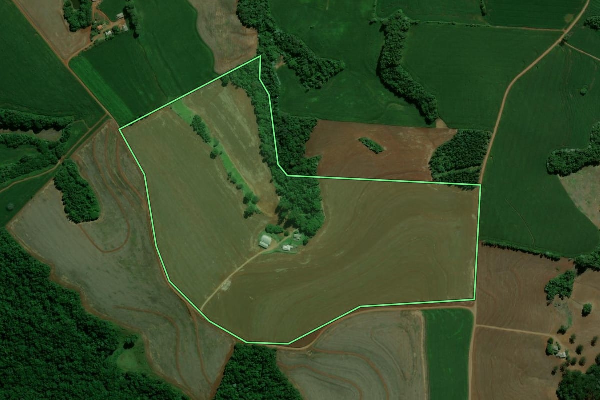 Imagem de satélite do imóvel rural em Roncador (PR), com o contorno declarado no CAR desenhado por cima.