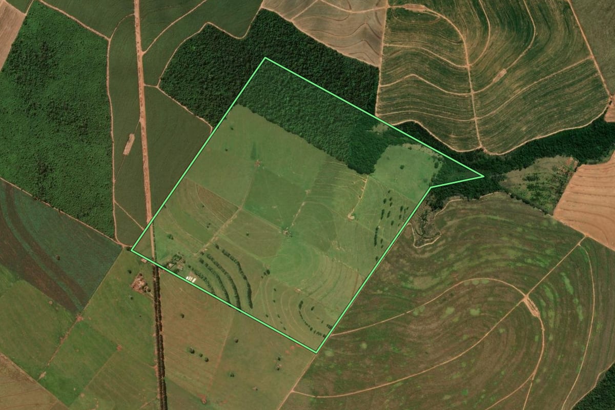 Imagem de satélite do imóvel rural em Rondon (PR), com o contorno declarado no CAR desenhado por cima.