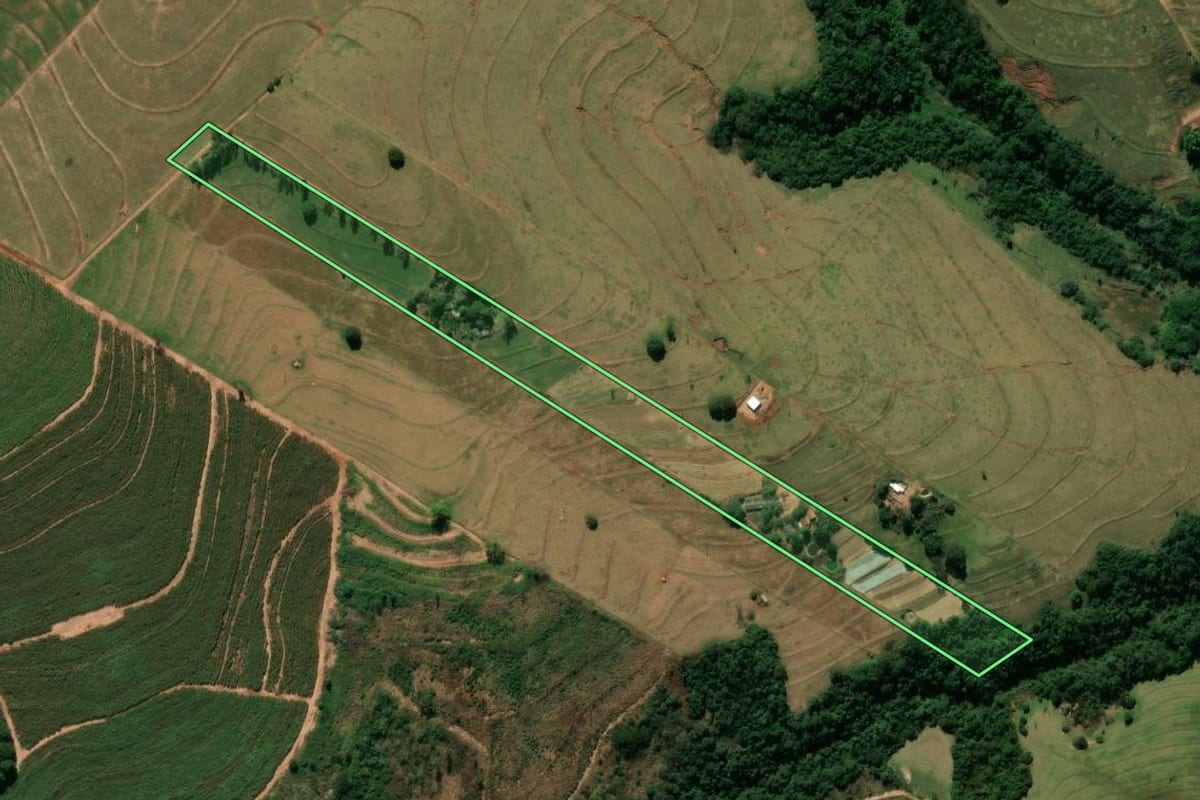 Imagem de satélite do imóvel rural em Rondon (PR), com o contorno declarado no CAR desenhado por cima.