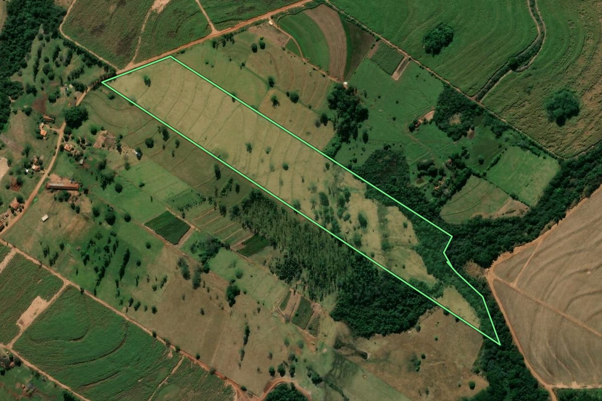 Imagem de satélite do imóvel rural em Rondon (PR), com o contorno declarado no CAR desenhado por cima.