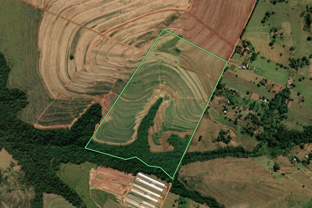 Imagem de satélite do imóvel rural em Rondon (PR), com o contorno declarado no CAR desenhado por cima.