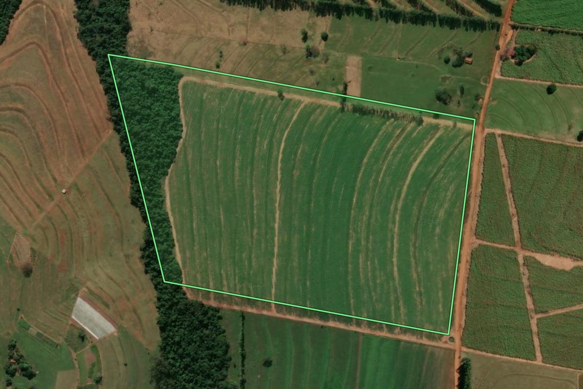 Imagem de satélite do imóvel rural em Rondon (PR), com o contorno declarado no CAR desenhado por cima.