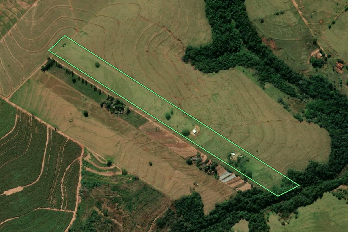 Imagem de satélite do imóvel rural em Rondon (PR), com o contorno declarado no CAR desenhado por cima.