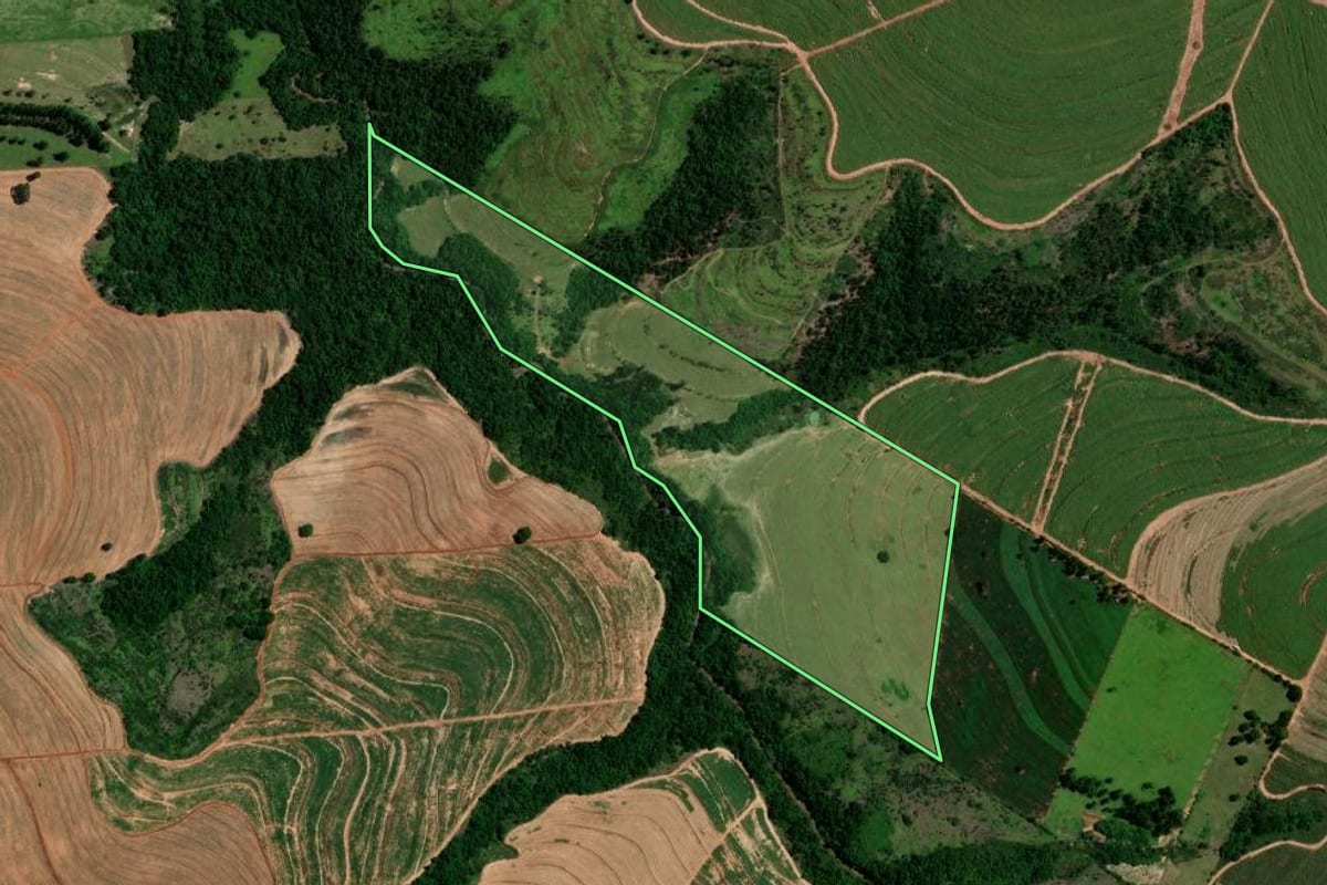 Imagem de satélite do imóvel rural em Rondon (PR), com o contorno declarado no CAR desenhado por cima.