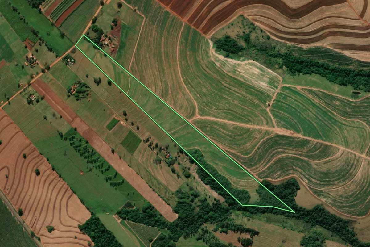 Imagem de satélite do imóvel rural em Rondon (PR), com o contorno declarado no CAR desenhado por cima.