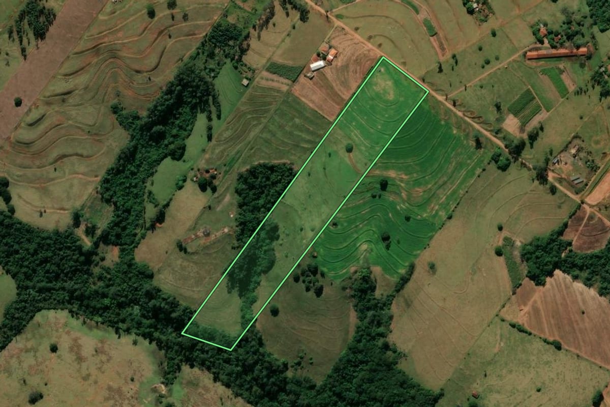 Imagem de satélite do imóvel rural em Rondon (PR), com o contorno declarado no CAR desenhado por cima.