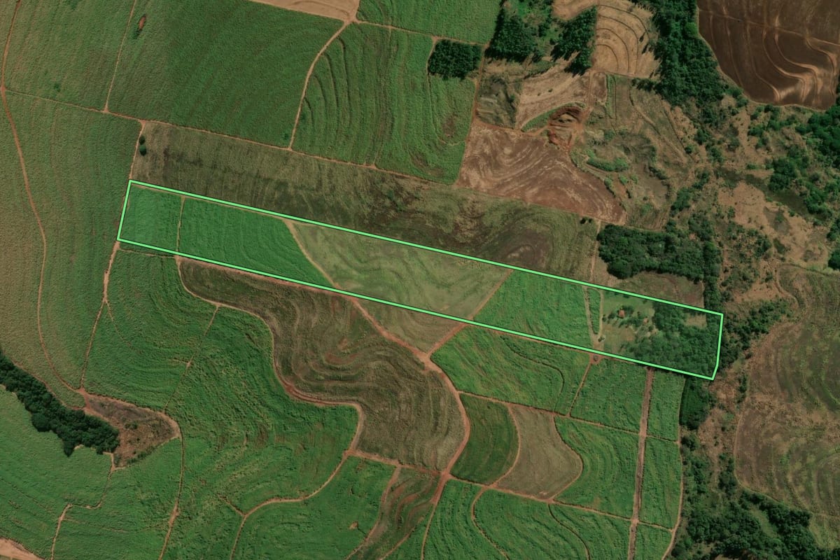 Imagem de satélite do imóvel rural em Rondon (PR), com o contorno declarado no CAR desenhado por cima.