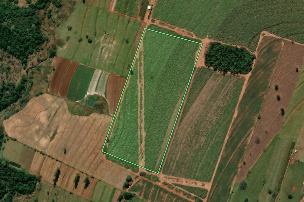 Imagem de satélite do imóvel rural em Rondon (PR), com o contorno declarado no CAR desenhado por cima.