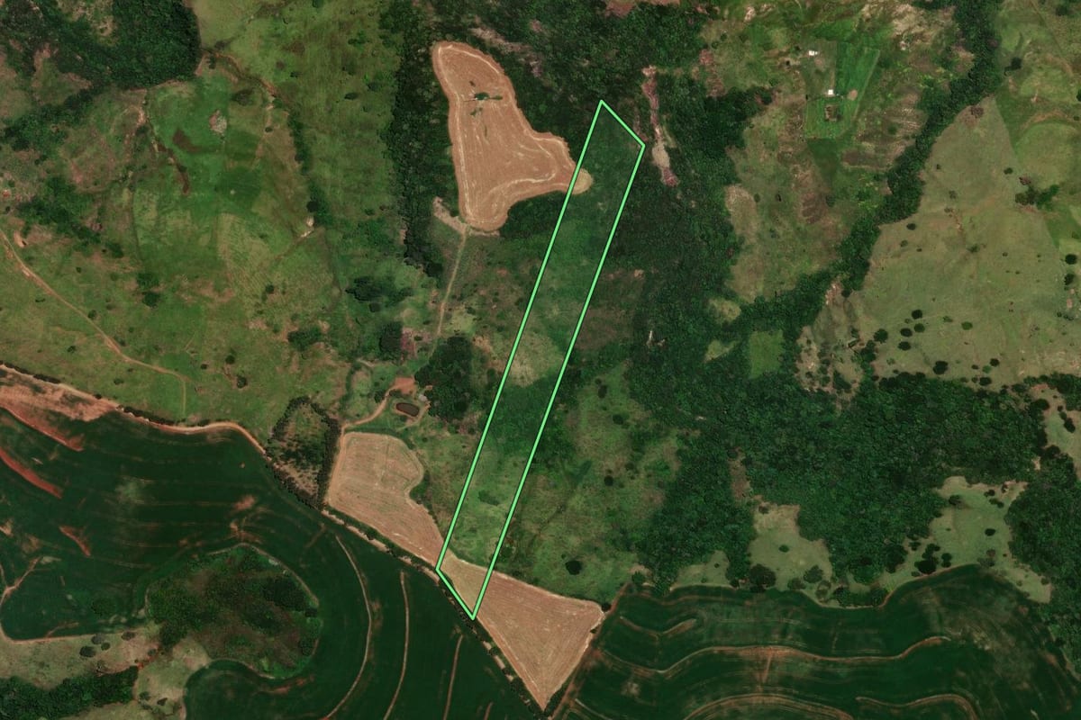 Imagem de satélite do imóvel rural em Rosário do Ivaí (PR), com o contorno declarado no CAR desenhado por cima.
