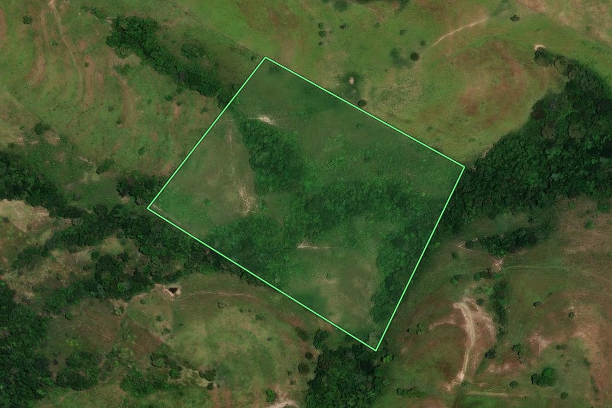 Imagem de satélite do imóvel rural em Rosário do Ivaí (PR), com o contorno declarado no CAR desenhado por cima.