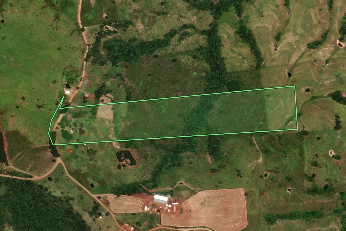 Imagem de satélite do imóvel rural em Rosário do Ivaí (PR), com o contorno declarado no CAR desenhado por cima.