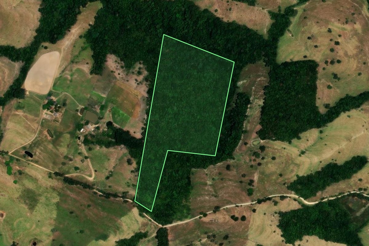 Imagem de satélite do imóvel rural em Rosário do Ivaí (PR), com o contorno declarado no CAR desenhado por cima.