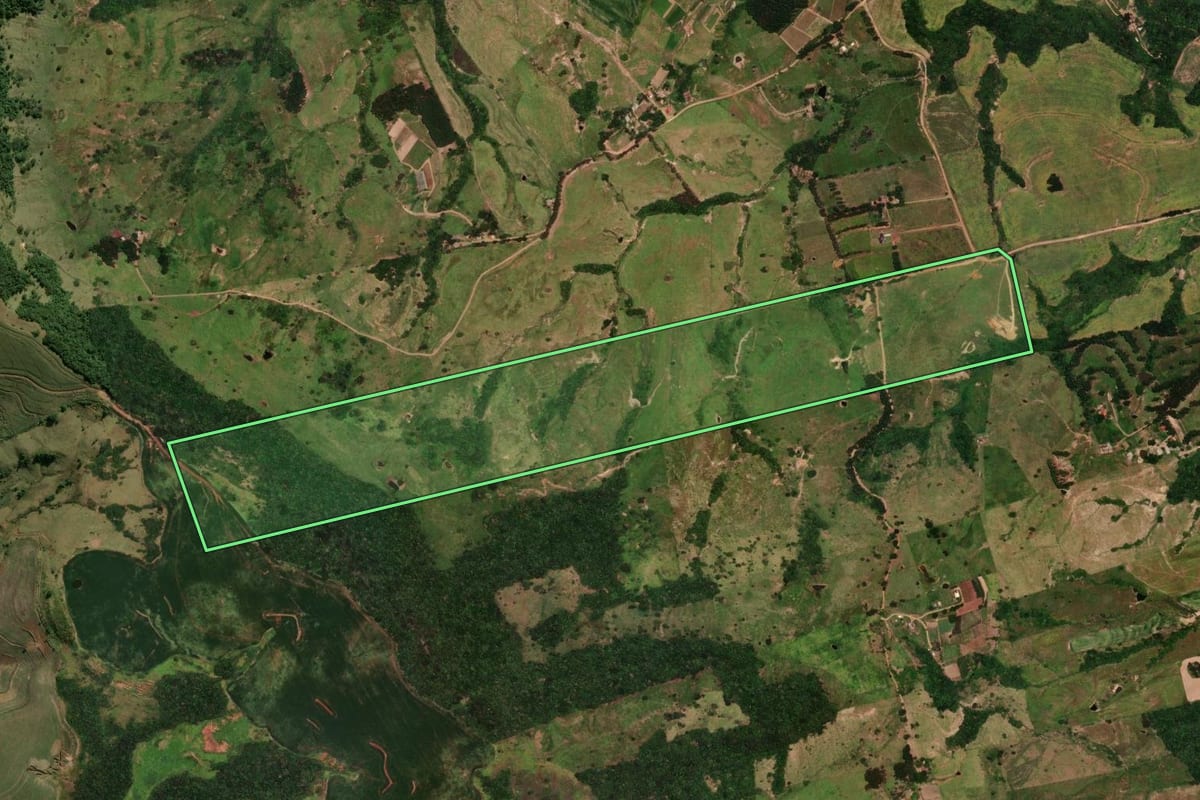 Imagem de satélite do imóvel rural em Rosário do Ivaí (PR), com o contorno declarado no CAR desenhado por cima.
