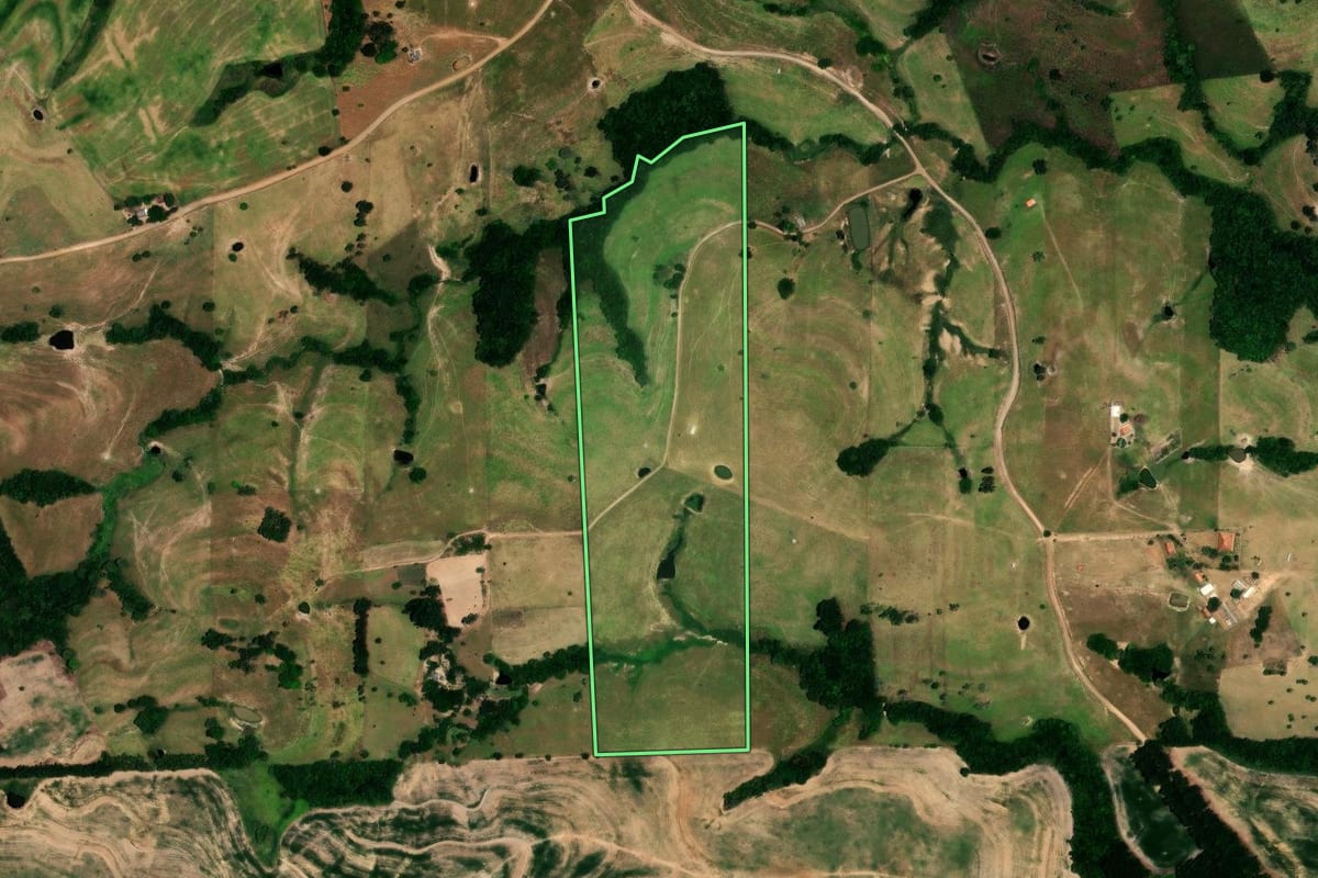 Imagem de satélite do imóvel rural em Rosário do Ivaí (PR), com o contorno declarado no CAR desenhado por cima.