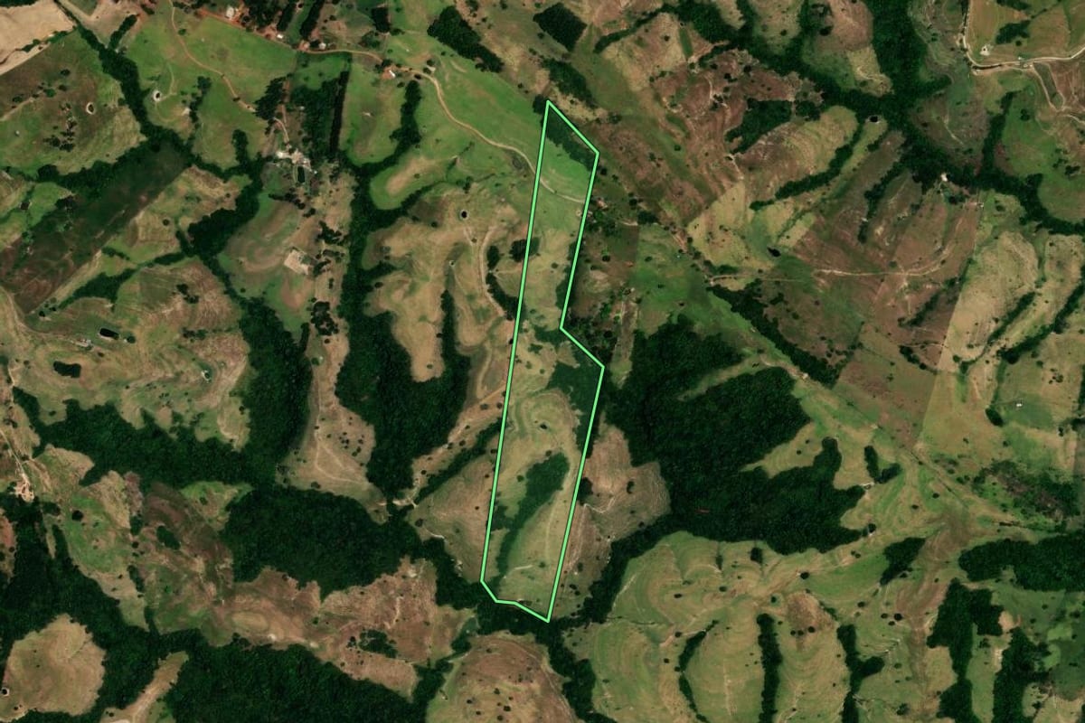 Imagem de satélite do imóvel rural em Rosário do Ivaí (PR), com o contorno declarado no CAR desenhado por cima.