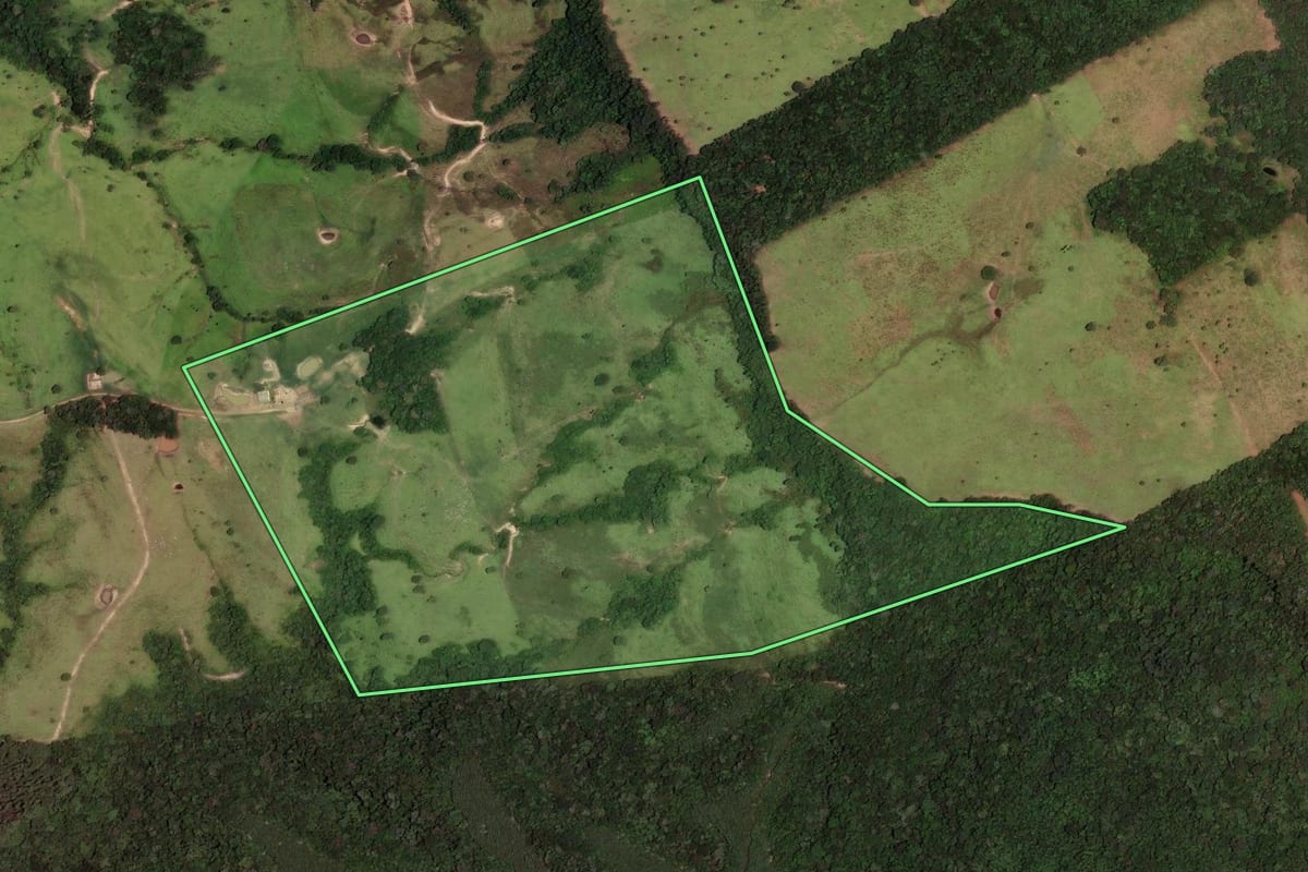 Imagem de satélite do imóvel rural em Rosário do Ivaí (PR), com o contorno declarado no CAR desenhado por cima.