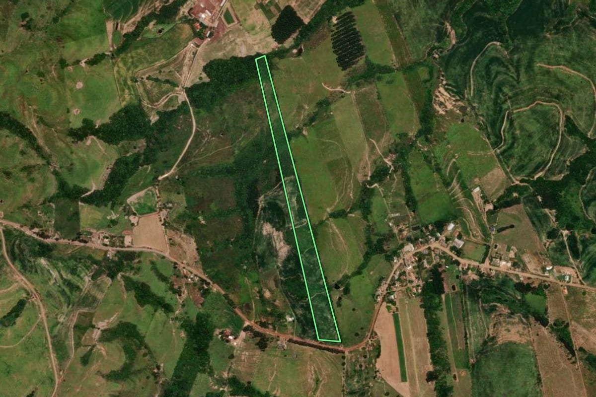 Imagem de satélite do imóvel rural em Rosário do Ivaí (PR), com o contorno declarado no CAR desenhado por cima.
